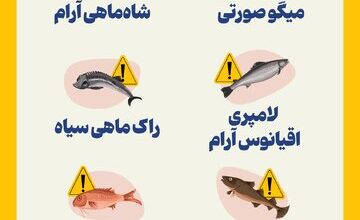 اینفوگرافیک/ ۶ غذای دریایی سرطان‌زا