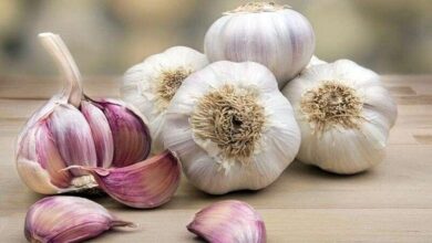 سیر خام بخوریم یا نخوریم؟