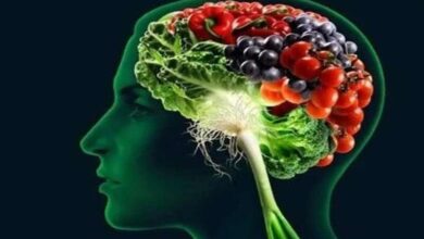 مواد غذایی که خطر ابتلا به آلزایمر را کاهش می‌دهند