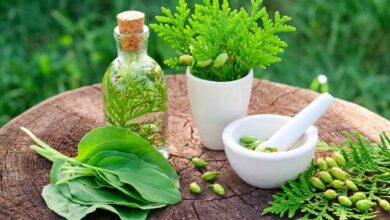 توصیه‌های طب سنتی برای فصل‌های مختلف سال