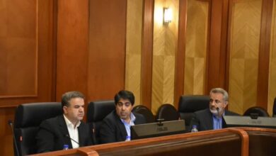 بررسی توانمندیها، مسائل ، مشکلات و چالشهای صنوف استان فارس 