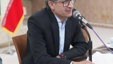 ایران قبل از توسعه‌یافتگی در حال پیر شدن است/لزوم جدیت بیشتر در اجرای سیاست‌های جوانی جمعیت