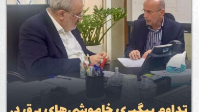 تداوم پیگیری‌ خاموشی‌های برق در دیدار دکتر موسوی با وزیر نیرو