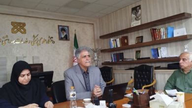 بحران سالمندی در کمین شاهرود و میامی؛ نرخ باروری به ۱.۴۳ سقوط کرد