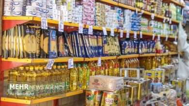 برچسب‌گذاری دیجیتال راهکار نوین برای شفافیت اطلاعات مواد غذایی
