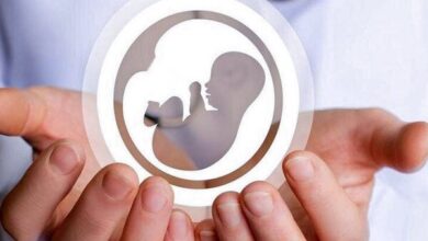 هشدار ایلان ماسک درباره کاهش نرخ فرزندآوری