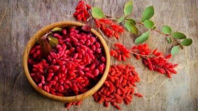 فواید شگفت‌انگیز آب زرشک برای کبد و قلب