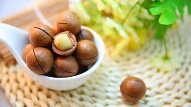 ترشی فندق؛ چاشنی خوشمزه غنی از پروتئین و فیبر