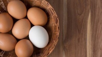 آیا مصرف زرده تخم مرغ برای کهنسالان مضر است