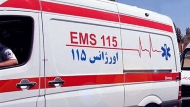 ارائه خدمات به بیش از ٢۵٠٠ نفر در مراسم بزرگداشت امام خمینی (ره)‌