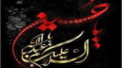 دستورالعمل جامع بهداشت محیط در ایام سوگواری محرم و صفر ۱۴۰۴ ابلاغ شد