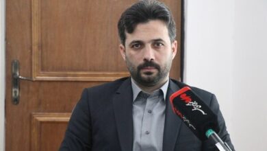 مشکلات تولیدکنندگان گیاهان دارویی بررسی شد