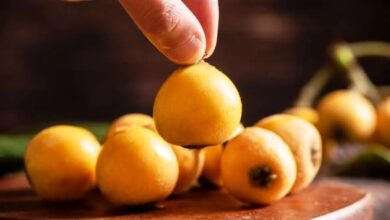 میوه‌ای برای تقویت ایمنی بدن و سلامت گوارش