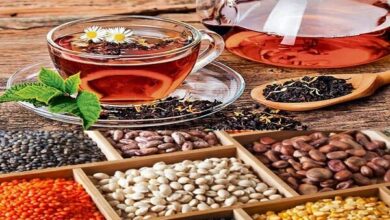 چای بعد از غذا؛ مانعی برای هضم، نه کمکی به آن