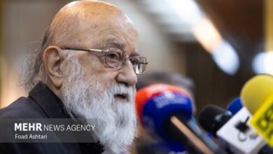 چمران: ورود سگ‌ها به بوستان‌های تهران ممنوع است