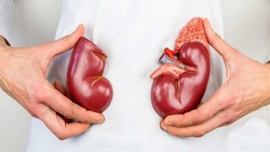 گرمای هوا و کم‌آبی بدن، خطری خاموش برای کلیه ها