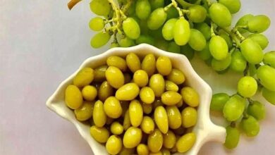 فوت و فن تهیه غوره شور خانگی با بهترین روش‌ها