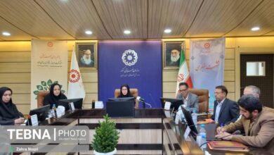 ۳۰ طرح اشتغال زایی در هفته بهزیستی افتتاح می شود