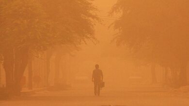 هجوم گرد و غبار به خراسان جنوبی؛ نفس شهرها به شماره افتاد