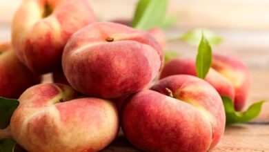 میوه مخملی برای سم‌زدایی بدن