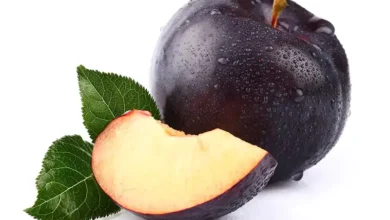 میوه‌ای سرشار از مواد معدنی