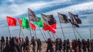 حضور انستیتو پاستور در خط مقدم پایش سلامت زائران اربعین