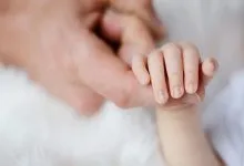 5253204.jpg