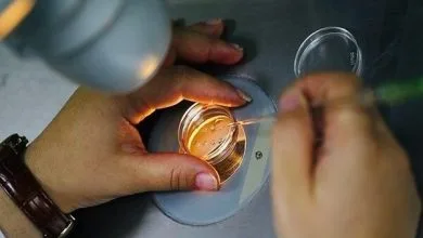 تهران پزشکی